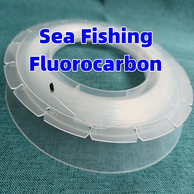 100M Pesca Fluorocarbonio di G - Copolymer Line recensione e prezzo